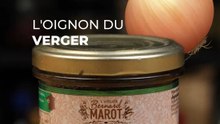 L’oignon du verger