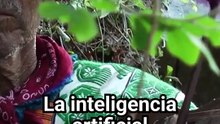 La UNAM usa Inteligencia Artificial para salvar 68 lenguas indígenas de la extinción