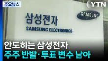 안도하는 삼성전자...주주 반발·투표 변수 남아 / YTN