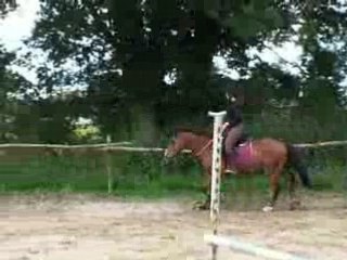 Allongement trot 2