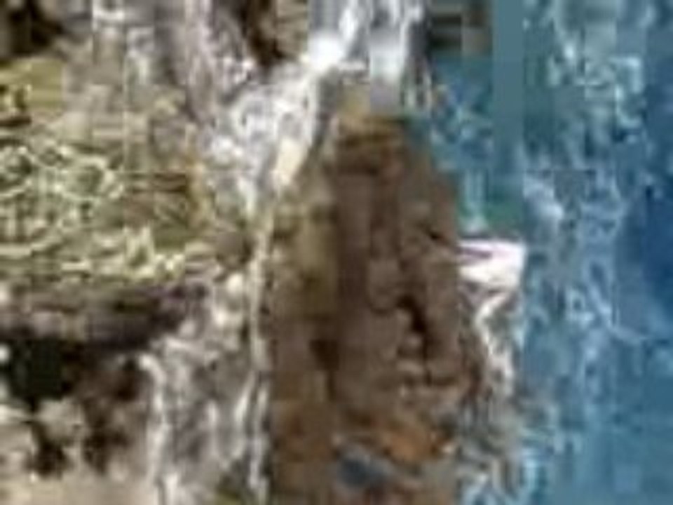 Vidéo0029