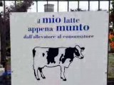 Il latte fresco per la mamma - alla domenica