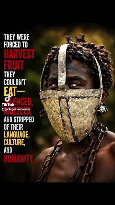 Slave Trade in Africa