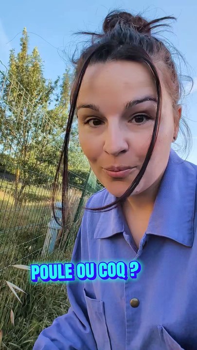 Poule ou coq ?