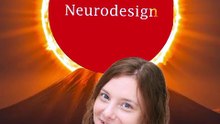Neurodesign' Sun on the Mountain' Peak of Success of the Business Environment