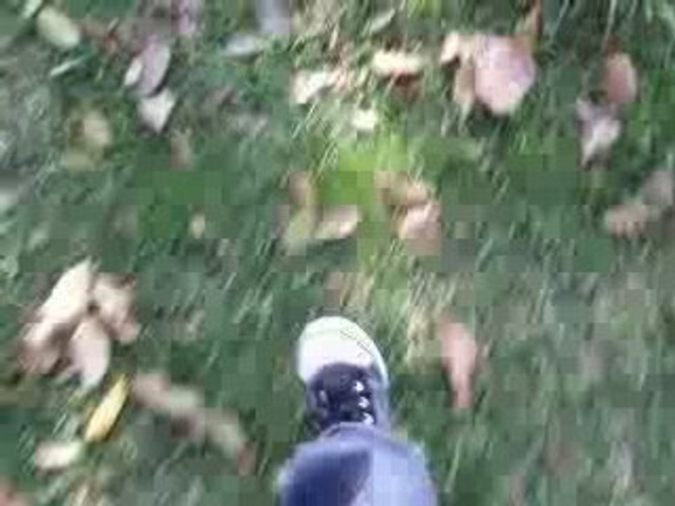 OTOÑO