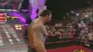 Batista Leaves Evolution