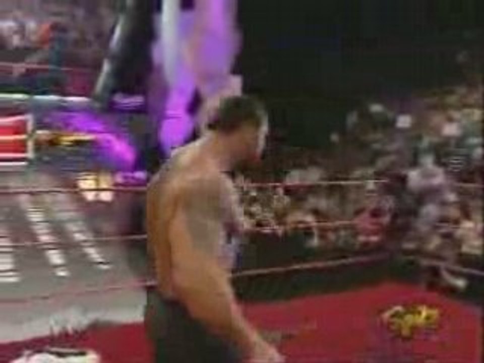 Batista Leaves Evolution