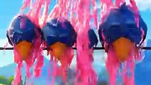 Never drink the RED sauce! 🌶️💥 #talkingbirds