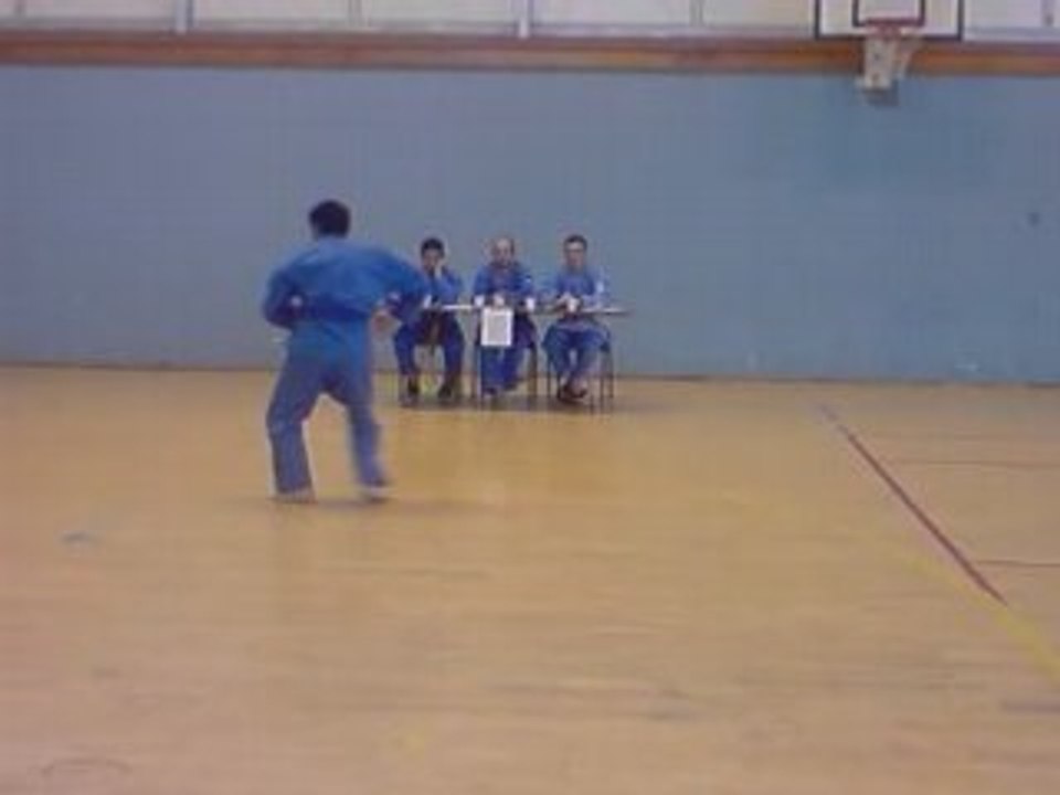 Passage de grade vovinam viet vo dao 2008 bordeaux