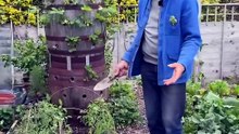 ¡Cultivar es más fácil de lo que crees!