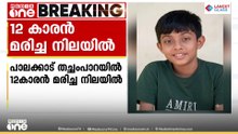 പാലക്കാട് തച്ചംപാറയിൽ 12കാരൻ മരിച്ച നിലയിൽ