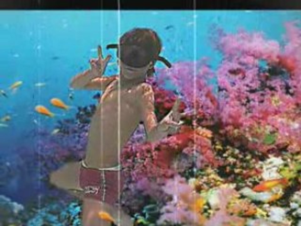 clip