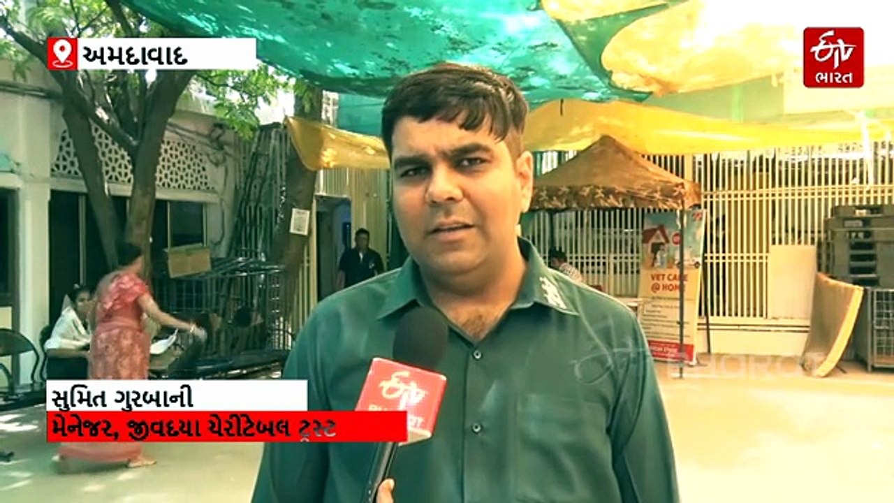 અમદાવાદ: કાળઝાળ ગરમીમાં પક્ષીઓને બચાવવા માટે અનોખી પહેલ, ORS પાઉડરથી પાણી-સ્પ્રિન્કલ કુલર્સની વ્યવસ્થા
