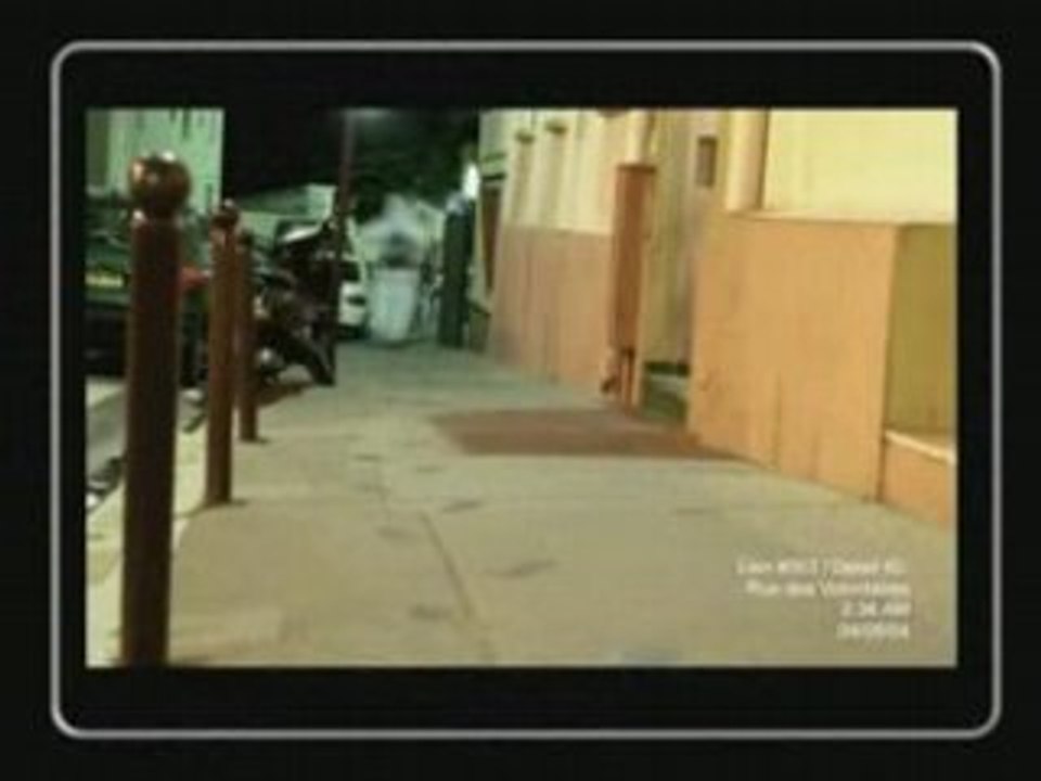 Artifist Imaginal network 2