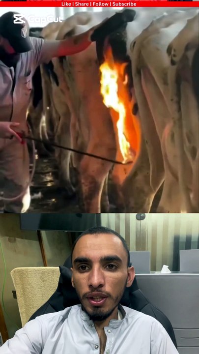 بیکٹیرا مارنے کے لیے آگ لگائی😱😱😱