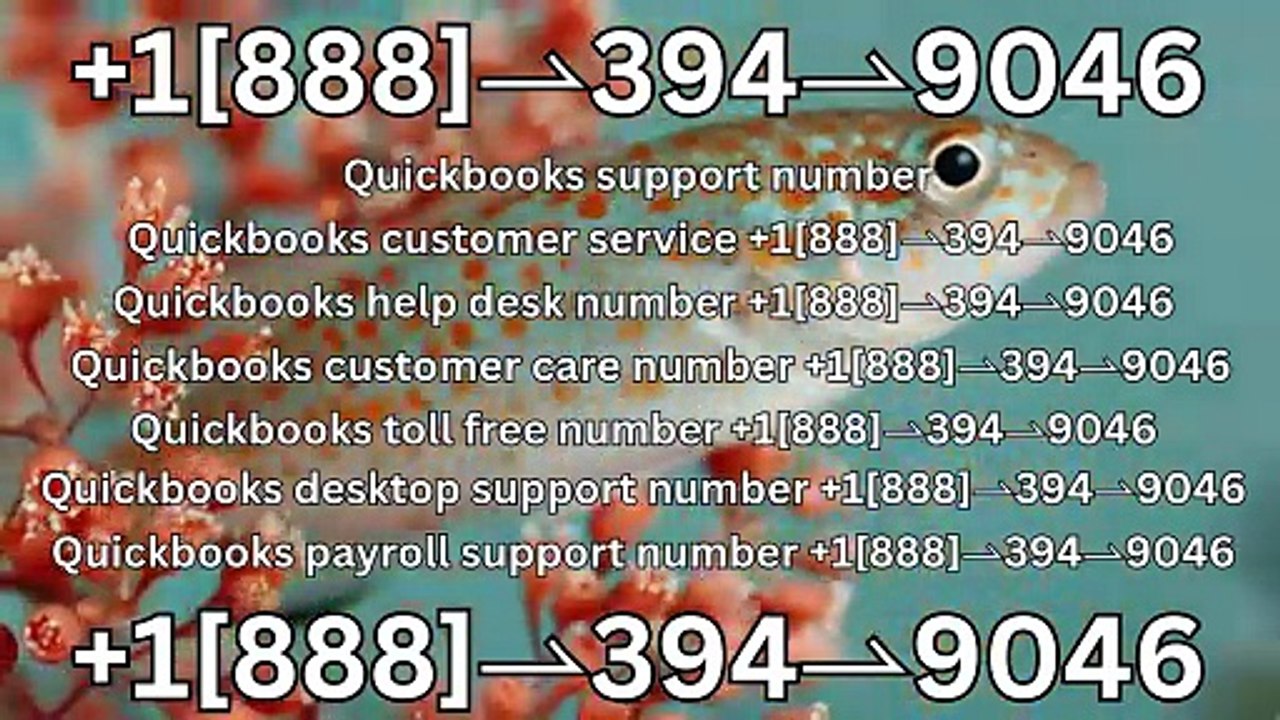 QuickBooks support number