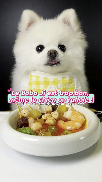 Le petit chien goûte le Bobo Ji chinois !