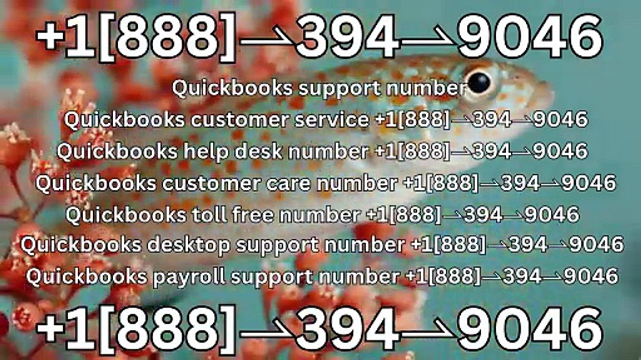 quickbooks customer support number