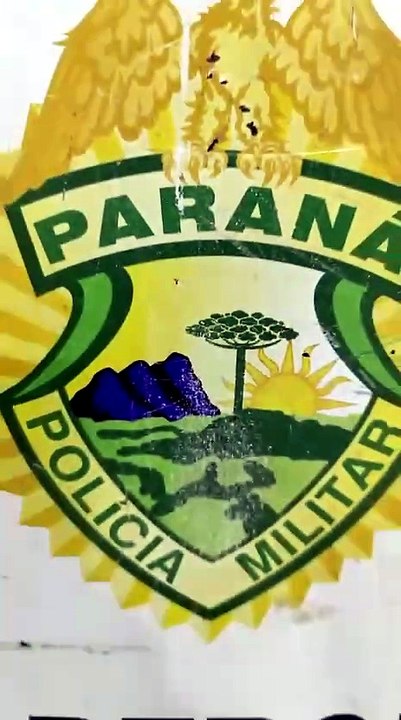 Cão farejador encontra maconha em ônibus interestadual em Umuarama