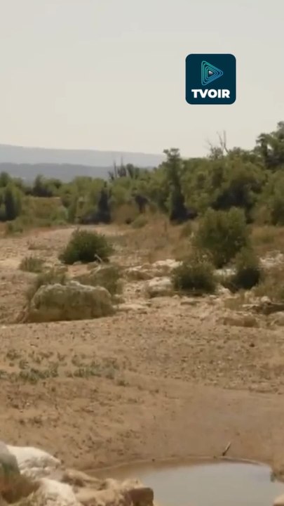 « L’Or Bleu » la nouvelle série à succès sur France 2 ! 💧