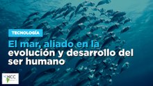 El mar, aliado en la evolución y desarrollo del ser humano