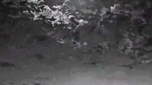 Reels video  #reels #video #viral #motivational