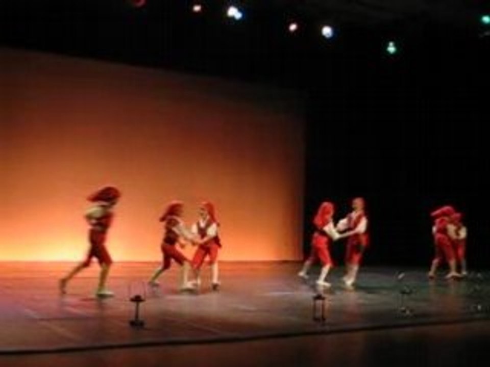 Gala de danse 2008