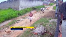 Homem é Arremessado por Boi em Guadalajara: Sobrevivência, Traumas e Responsabilidades do Dono do Animal