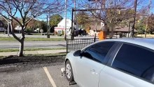 Dude was super mad smh 🤦🏾‍♂️ (Repo)