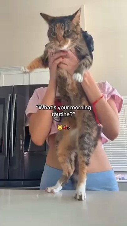 She loves me I swear, that’s just her face 24/7😭 #cat #funny