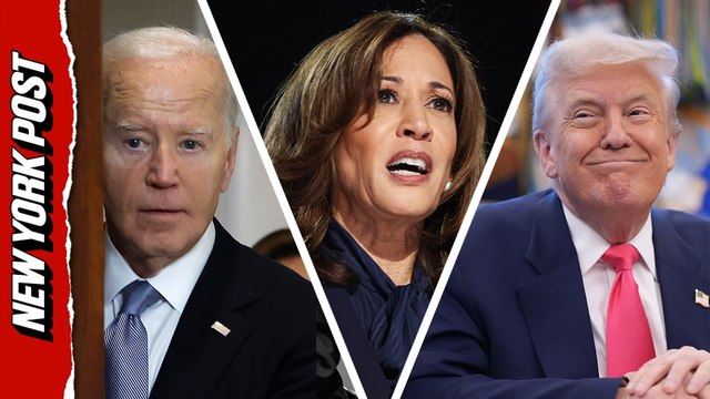 DNC 'autopsy' of 2024 defeat claims Biden allies neglected Harris – and GOP 'learned more from Obama' than Democrats