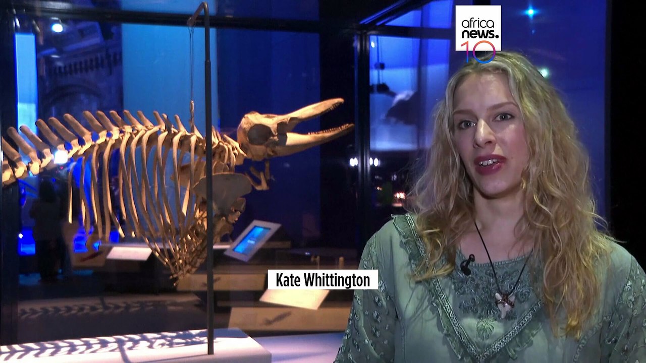 London museum unveils jurassic ocean giants