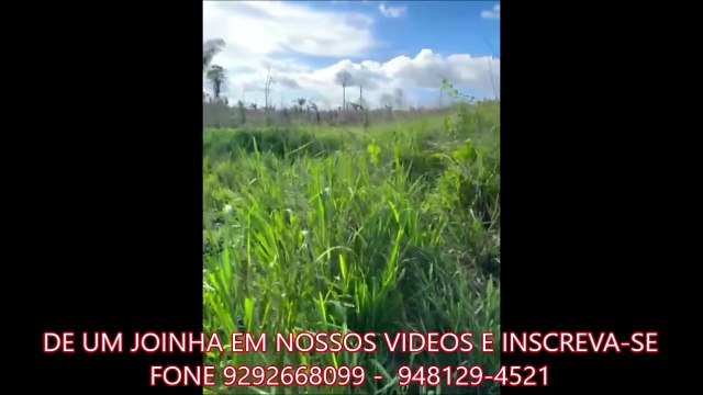 FAZENDA COM 380 ALQUEIRÃO A VENDA CMC