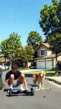 Hoverboard Hero Saves a Puppy From a Burning Car! 🐶🔥#DogRescue #EmotionalStory #ShortFilm