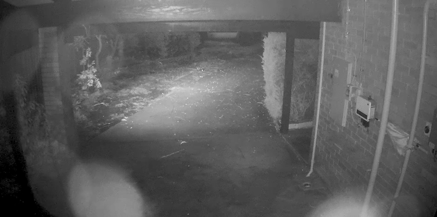 Source of house-shaking noise remains a mystery