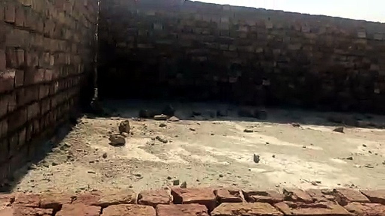 1000643640