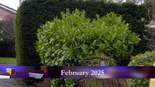 Homes Under the Hammer - Season 28 Episode 78 -Southampton Mould Museum