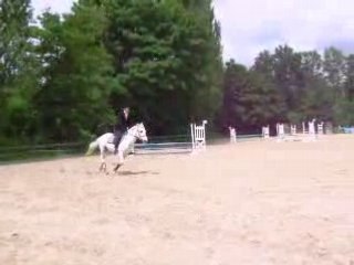 Emir et Tristan à Andilly le 15 Juin