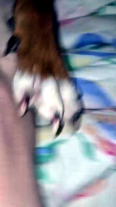 3985