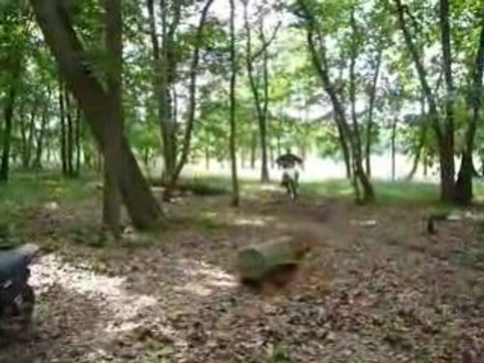 pit bike blp delire