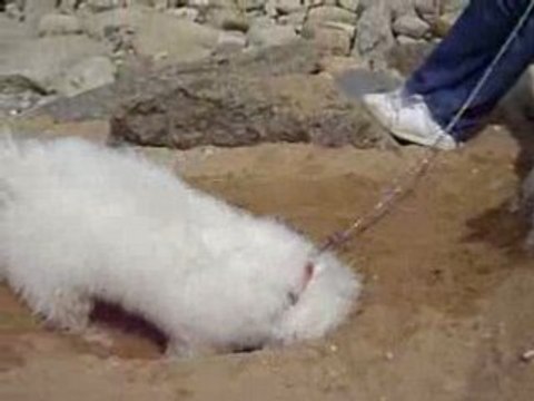 Vacances bretagne avril 2008 091