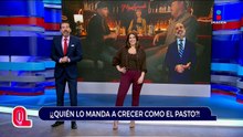 Rodrigo Murray dice que el tamaño sí importa | Qué Importa