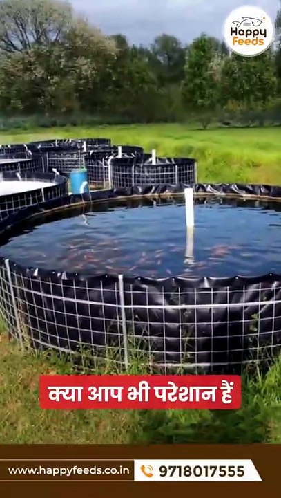Premium Floating Fish Feed India for Commercial Aquaculture