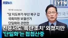 친윤에서도 '특단 조치' 외쳤지만...'단일화'는 첩첩산중 [앵커리포트] / YTN