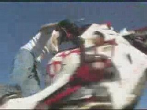 Ruff Ryders What? Motorcycle Stunts