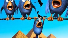 Bro unzipped the sky or REALITY? 😱 #talkingbirds