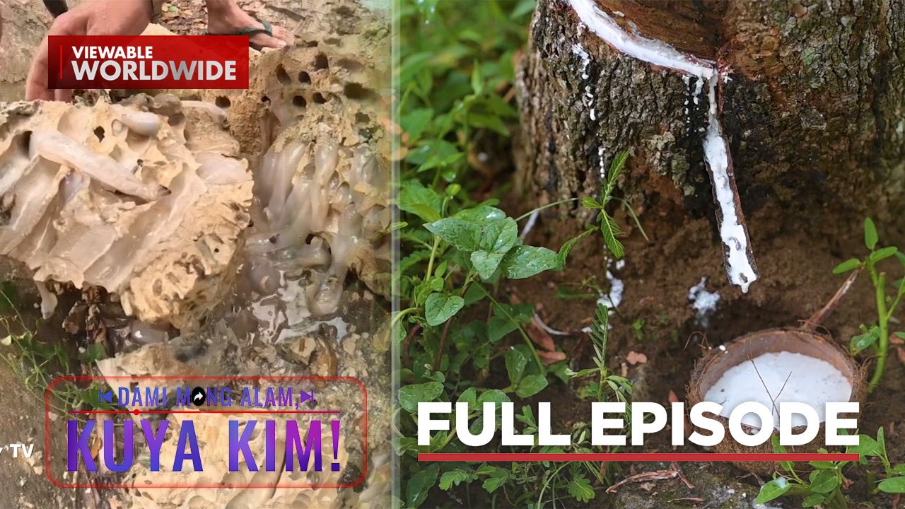 Exotic food na ‘antingaw’, alamin!; Dagta, paano ginagawang goma? | Dami Mong Alam, Kuya Kim!