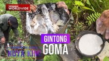 Ginto na nakukuha sa rubber tree?! | Dami Mong Alam, Kuya Kim!