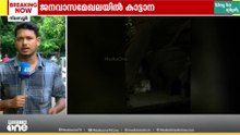 മലപ്പുറം നിലമ്പൂരിൽ ജനവാസ മേഖലയിൽ കാട്ടാനയിറങ്ങി; വനപാലകർ എത്തി ആനയെ കാട് കയറ്റി